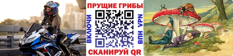 Галлюциногенные грибы мицелий  Купить где  Подпорожье 